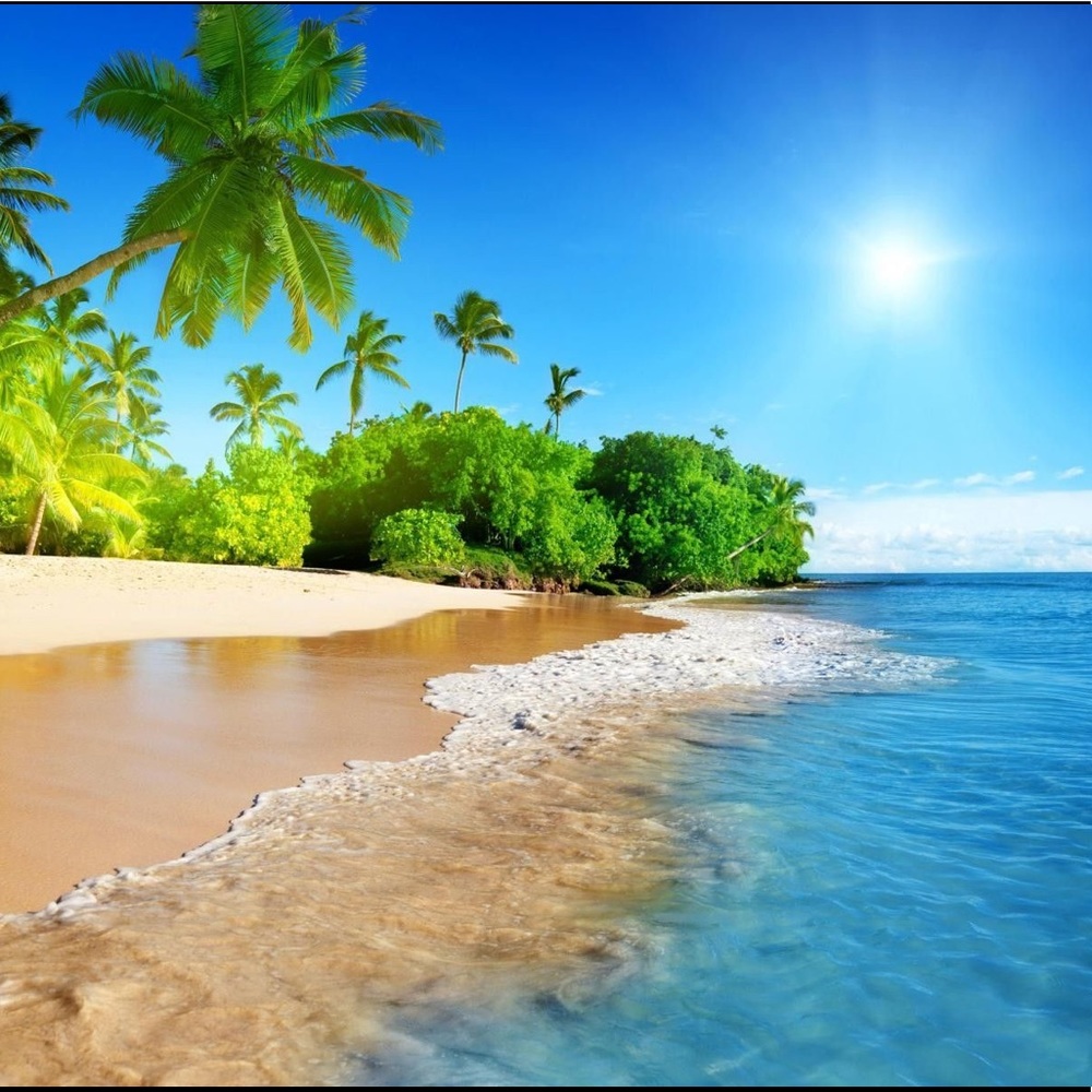 Meet your Posher, Gina